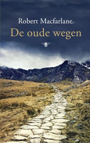 Cover of the book De oude wegen by Antje Veld