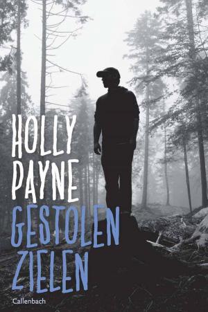 Cover of the book Gestolen zielen by Anne-Marie Hooyberghs