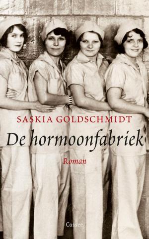 Cover of the book De hormoonfabriek by David Grossman