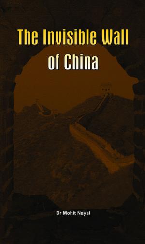 Book cover of The Invisible Wall of China
