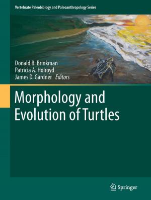 Cover of the book Morphology and Evolution of Turtles by J.V. Buroker