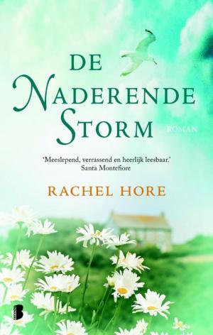 Cover of the book De naderende storm by Eric Vuillard