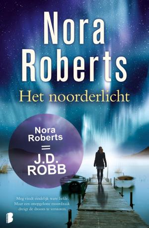 Cover of the book Het noorderlicht by TL Clark
