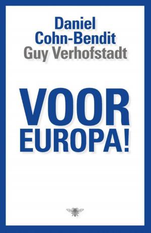 Book cover of Voor Europa!