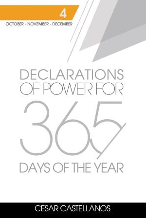 Cover of Declarations of Power For 365 Days of the Year