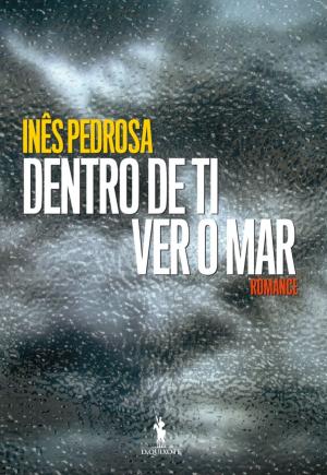 Cover of the book Dentro de Ti Ver o Mar by Nuno Júdice