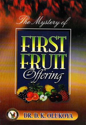 Cover of the book The Mystery of First Fruit Offering by Dr. D. K. Olukoya