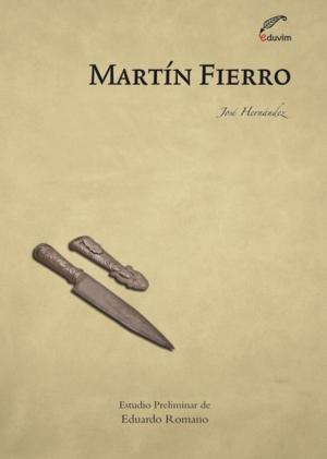 Cover of the book Martín Fierro by Juan Manuel Reynares