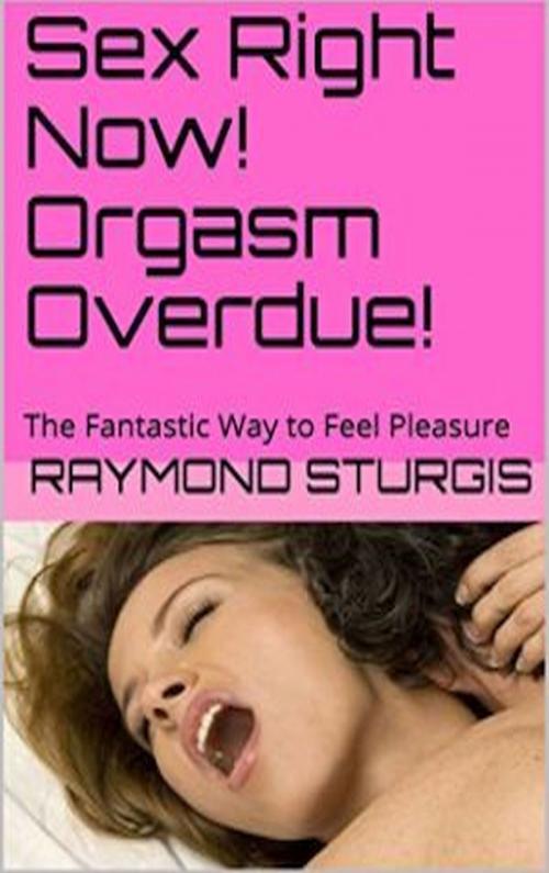 Cover of the book Sex Right Now! Orgasm Overdue by Raymond Sturgis, Raymond Sturgis Publications