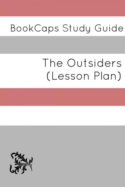Cover of the book The Outsiders: Teacher Lesson Plans and Study Guide by LessonCaps, BookCaps Study Guides