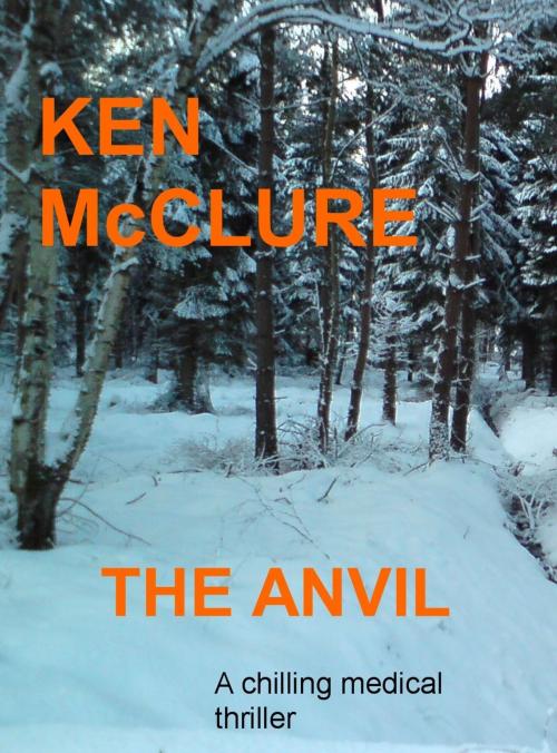 Cover of the book The Anvil by Ken McClure, Saltoun