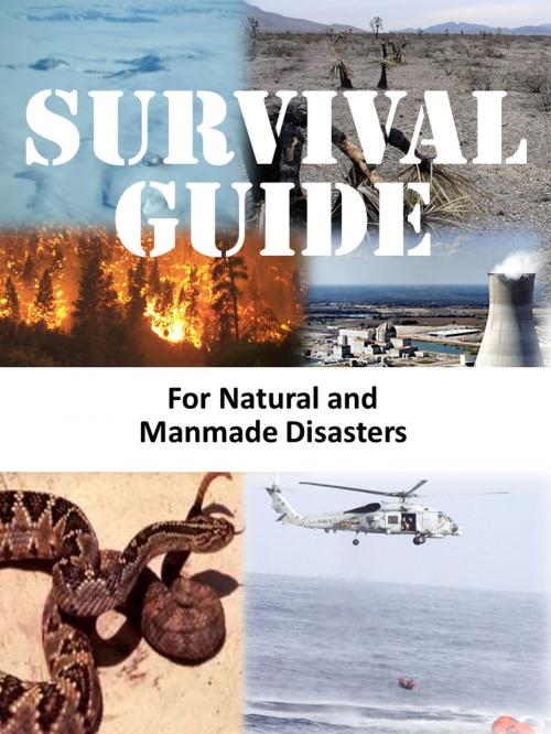 Cover of the book Survival Guide for Natural and Manmade Disasters by Smashbooks, Smashbooks