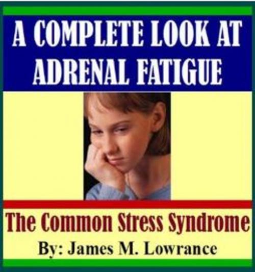 Cover of the book A Complete Look at Adrenal Fatigue by James Lowrance, James M. Lowrance