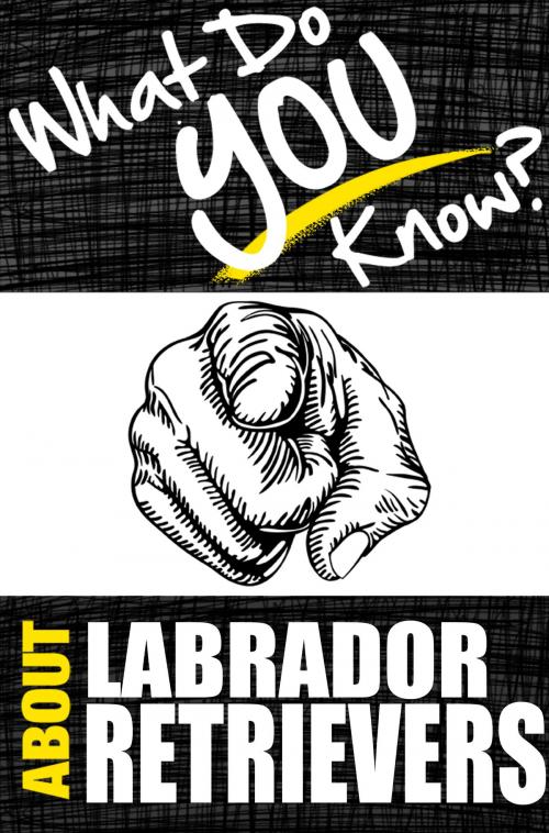 Cover of the book What Do You Know About Labrador Retrievers? by T.K. Parker, What Do You Know Publications