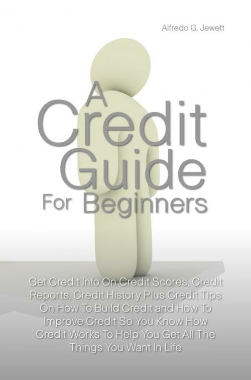 Cover of the book A Credit Guide For Beginners by Alfredo G. Jewett, KMS Publishing