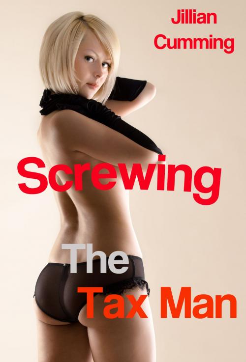 Cover of the book Screwing the Tax Man by Jillian Cumming, Jillian Cumming