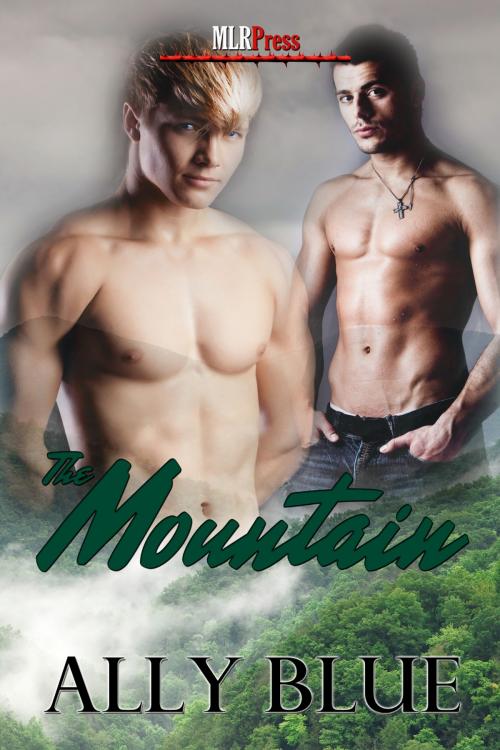 Cover of the book The Mountain by Ally Blue, MLR Press