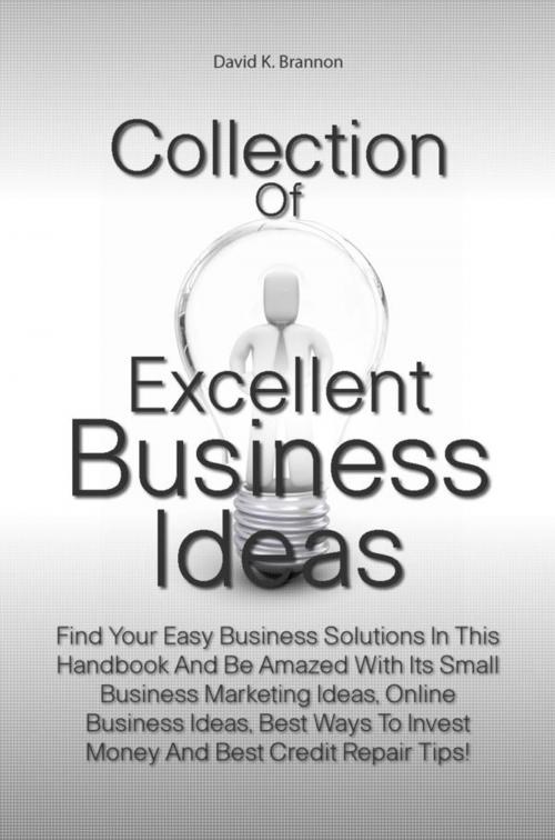 Cover of the book Collection Of Excellent Business Ideas by David K. Brannon, KMS Publishing