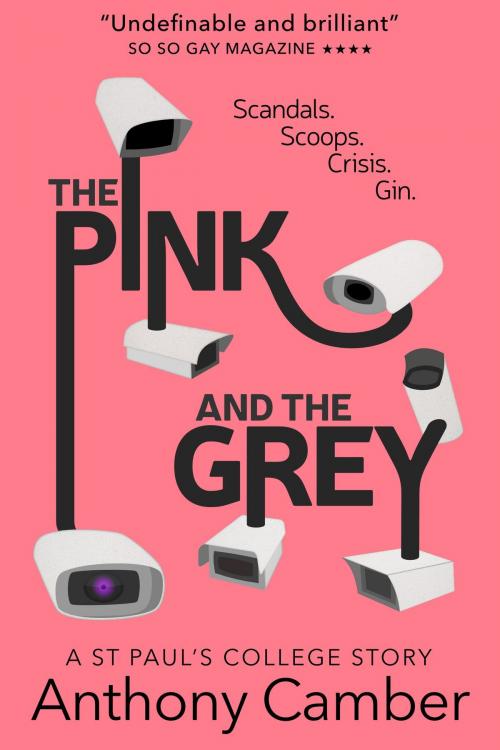 Cover of the book The Pink and the Grey by Anthony Camber, David A Smith