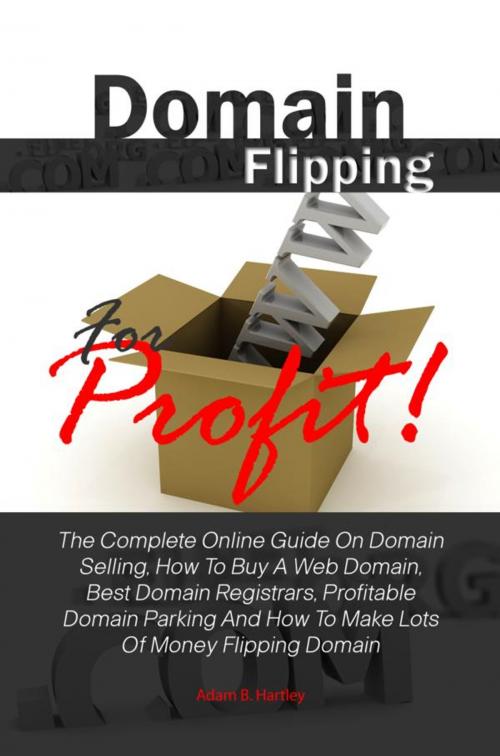 Cover of the book Domain Flipping For Profit! by Adam B. Hartley, KMS Publishing