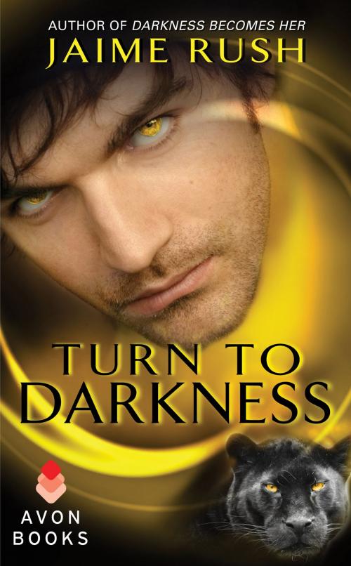 Cover of the book Turn to Darkness by Jaime Rush, Avon Impulse