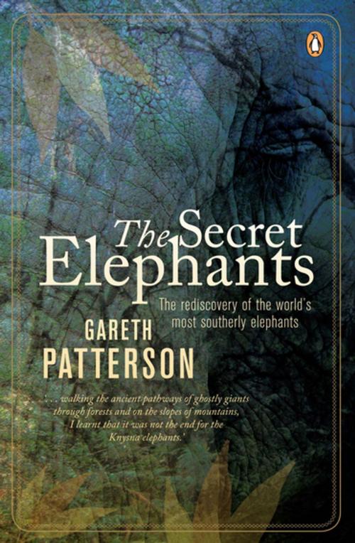 Cover of the book The Secret Elephants by Gareth Patterson, Penguin Random House South Africa