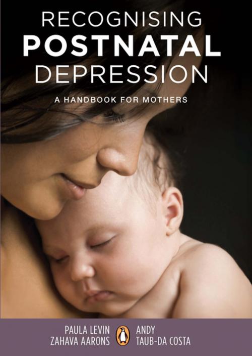 Cover of the book Recognising Postnatal Depression by Andrea Taub-Da Costa, Penguin Random House South Africa