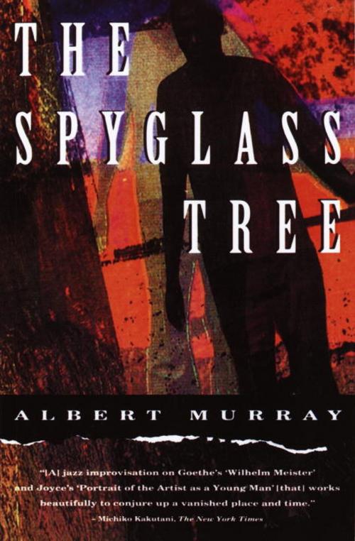 Cover of the book The Spyglass Tree by Albert Murray, Knopf Doubleday Publishing Group