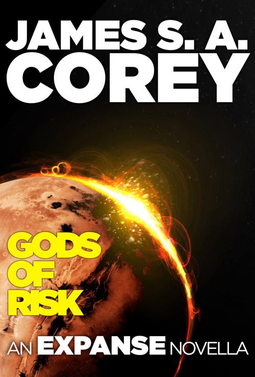 Cover of the book Gods of Risk by James S. A. Corey, Orbit