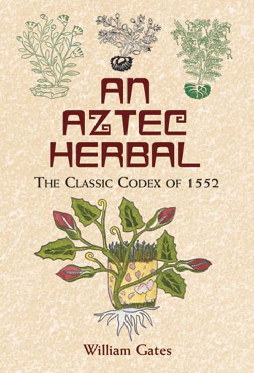 Cover of the book An Aztec Herbal by , Dover Publications