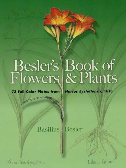 Cover of the book Besler's Book of Flowers and Plants: 73 Full-Color Plates from Hortus Eystettensis, 1613 by Basilius Besler, Dover Publications