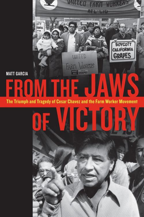 Cover of the book From the Jaws of Victory by Matthew Garcia, University of California Press