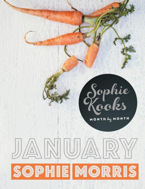 Cover of the book Sophie Kooks Month by Month: January by Sophie Morris, Gill Books