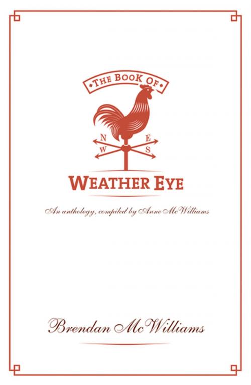 Cover of the book The Book of Weather Eye by Brendan McWilliams, BSc. MBA, CMet., FRMet.S, Gill Books