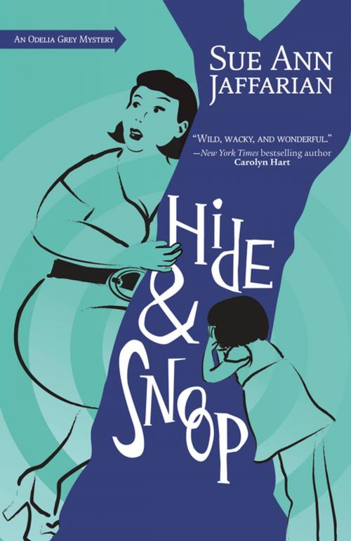 Cover of the book Hide and Snoop by Sue Ann Jaffarian, Llewellyn Worldwide, LTD.