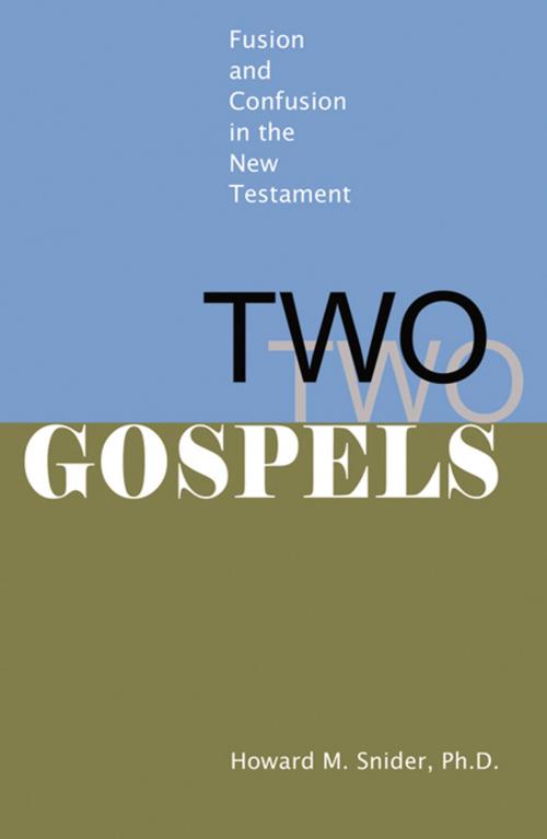 Cover of the book Two Gospels by Howard M. Snider, Infinity Publishing