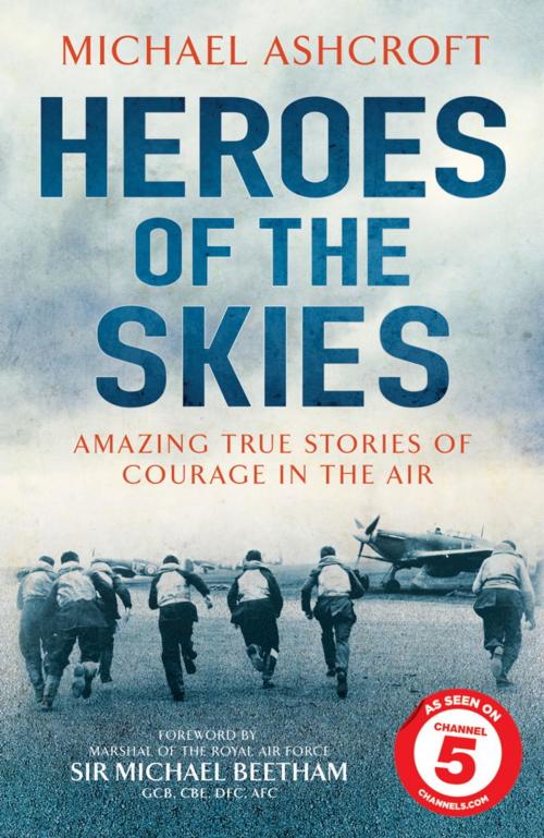 Cover of the book Heroes of the Skies by Michael Ashcroft, Headline