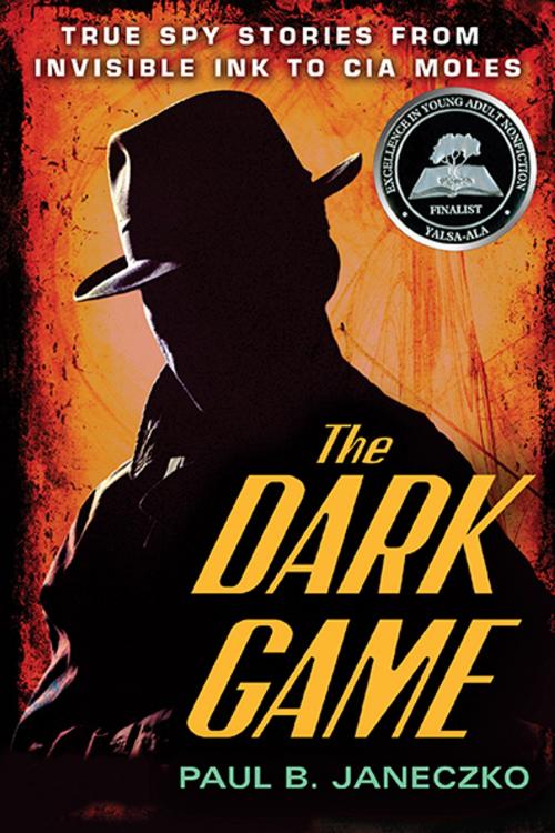 Cover of the book The Dark Game by Paul B. Janeczko, Candlewick Press