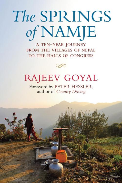 Cover of the book The Springs of Namje by Rajeev Goyal, Beacon Press