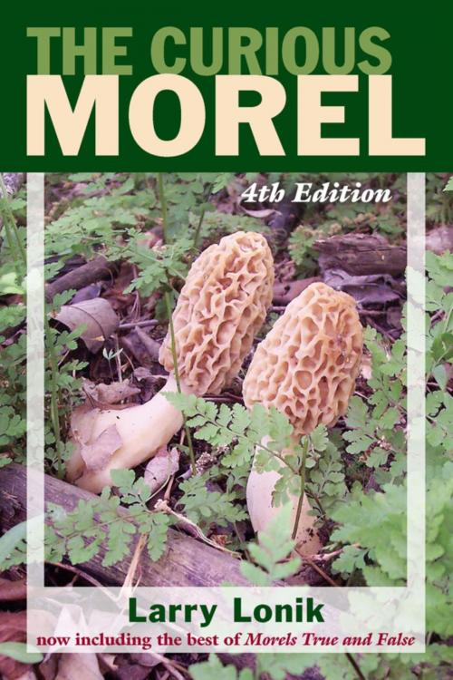 Cover of the book The Curious Morel by Larry Lonik, Stackpole Books