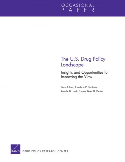 Cover of the book The U.S. Drug Policy Landscape by Beau Kilmer, Jonathan P. Caulkins, Rosalie Liccardo Pacula, Peter H. Reuter, RAND Corporation
