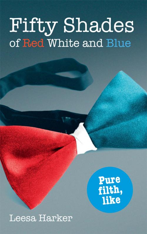 Cover of the book Fifty Shades of Red White and Blue by Leesa Harker, Blackstaff Press Ltd
