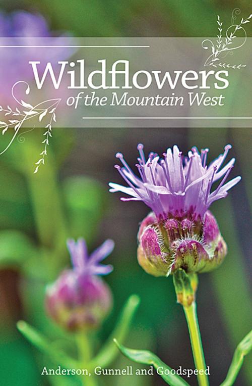 Cover of the book Wildflowers of the Mountain West by Richard M. Anderson, Jay Dee Gunnell, Jerry L. Goodspeed, Utah State University Press