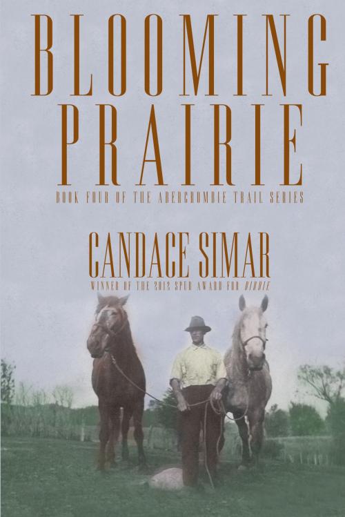 Cover of the book Blooming Prairie by Candace Simar, North Star Press