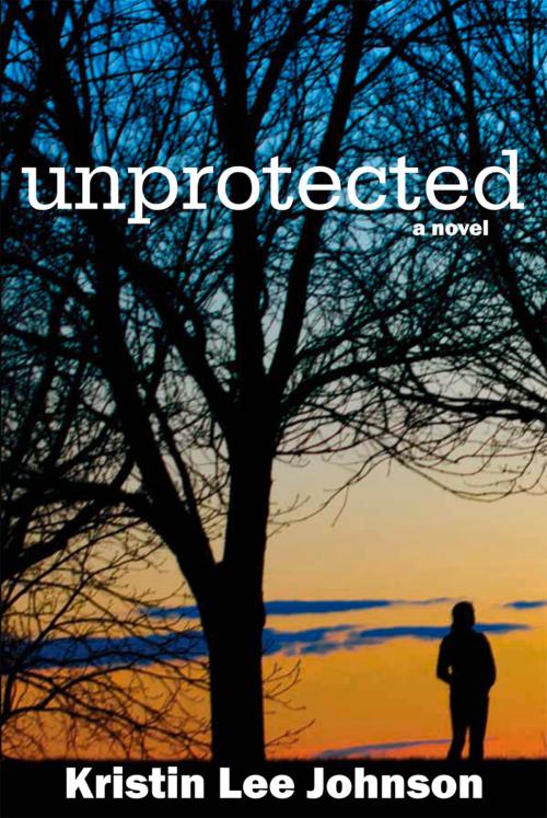 Cover of the book Unprotected by Kristin Lee Johnson, North Star Press of St. Cloud
