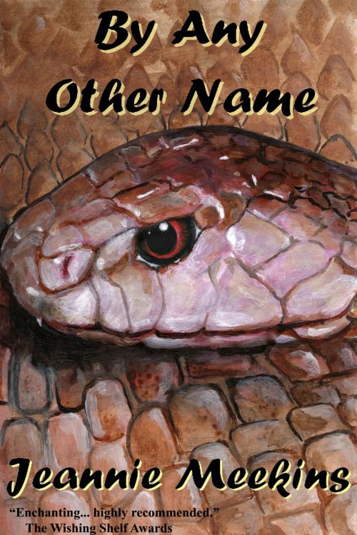 Cover of the book By Any Other Name by Jeannie Meekins, Jeannie Meekins