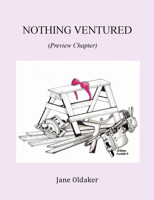 Cover of the book Nothing Ventured by Jane Oldaker, Jane Oldaker