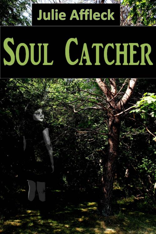 Cover of the book Soul Catcher by Julie Affleck, Julie Affleck