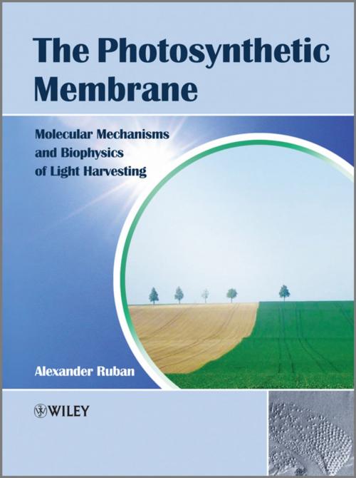 Cover of the book The Photosynthetic Membrane by Alexander V. Ruban, Wiley