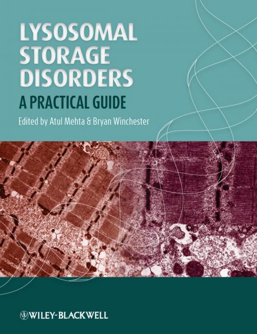 Cover of the book Lysosomal Storage Disorders by , Wiley